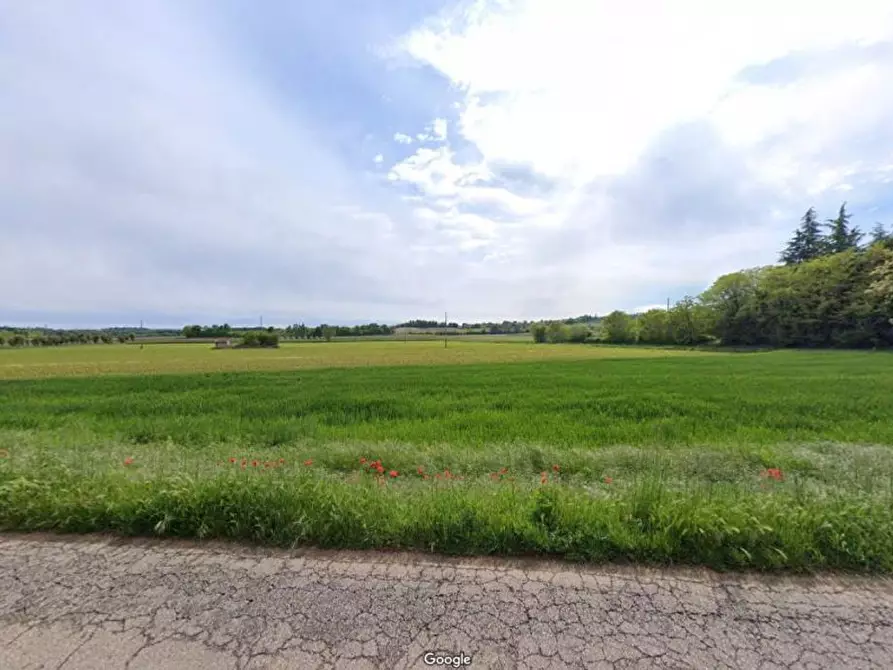Immagine 8 di Terreno agricolo in vendita  in Cavallara a Casalmoro