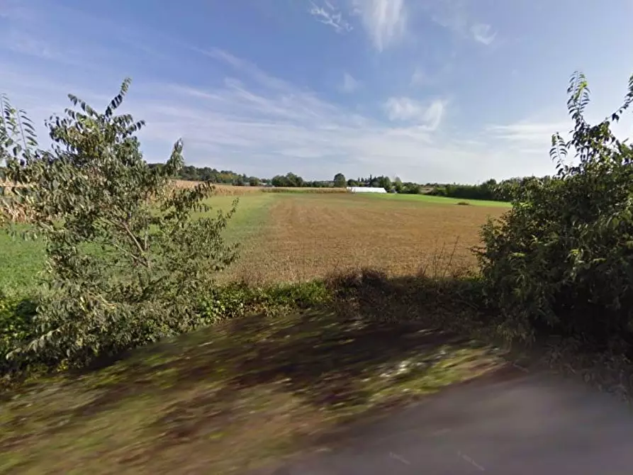 Immagine 10 di Terreno agricolo in vendita  in Cavallara a Casalmoro