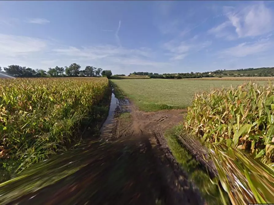 Immagine 11 di Terreno agricolo in vendita  in Cavallara a Casalmoro