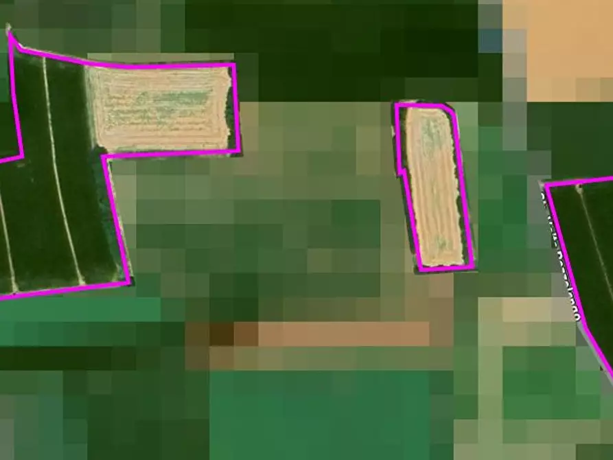 Immagine 12 di Terreno agricolo in vendita  in Cavallara a Casalmoro