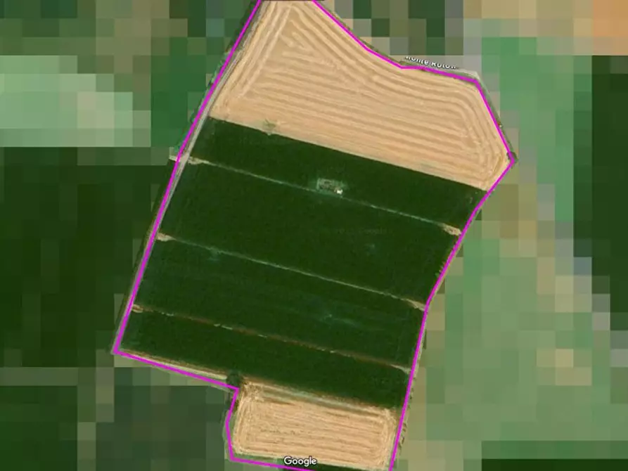 Immagine 15 di Terreno agricolo in vendita  in Cavallara a Casalmoro