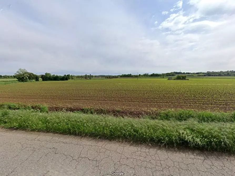 Immagine 17 di Terreno agricolo in vendita  in Cavallara a Casalmoro