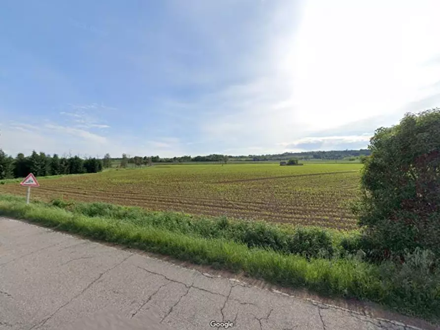 Immagine 16 di Terreno agricolo in vendita  in Cavallara a Casalmoro