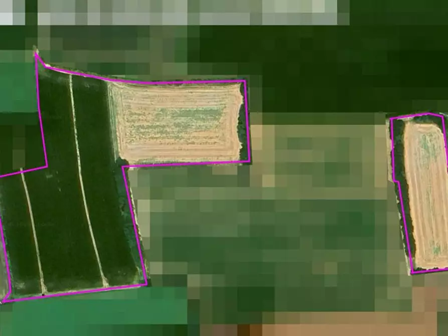 Immagine 18 di Terreno agricolo in vendita  in Cavallara a Casalmoro