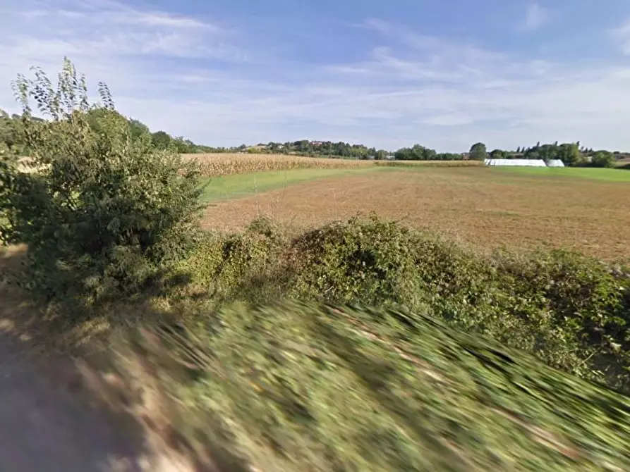 Immagine 19 di Terreno agricolo in vendita  in Cavallara a Casalmoro