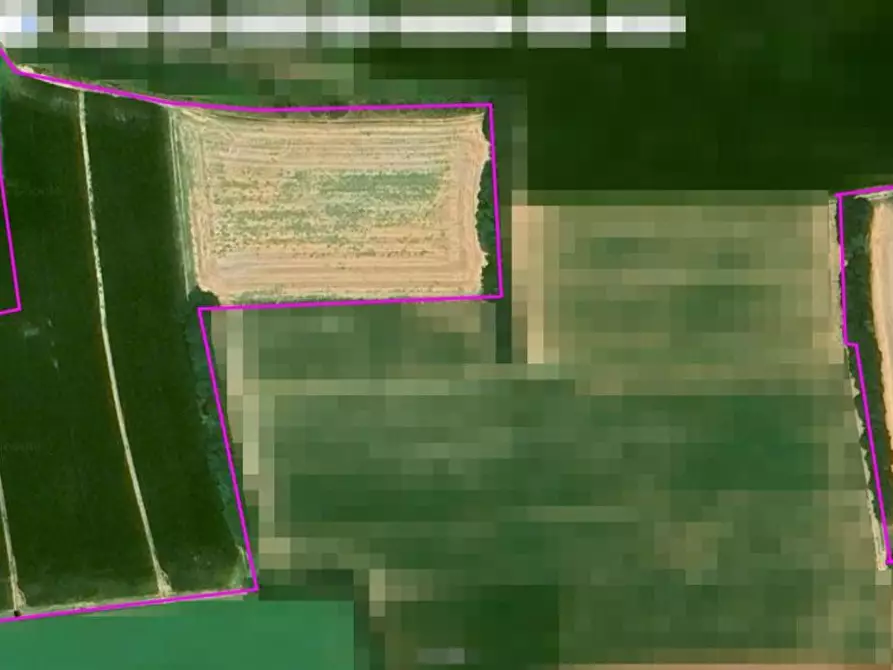 Immagine 20 di Terreno agricolo in vendita  in Cavallara a Casalmoro