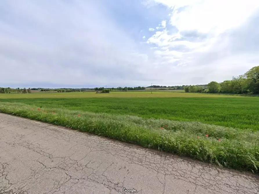 Immagine 21 di Terreno agricolo in vendita  in Cavallara a Casalmoro