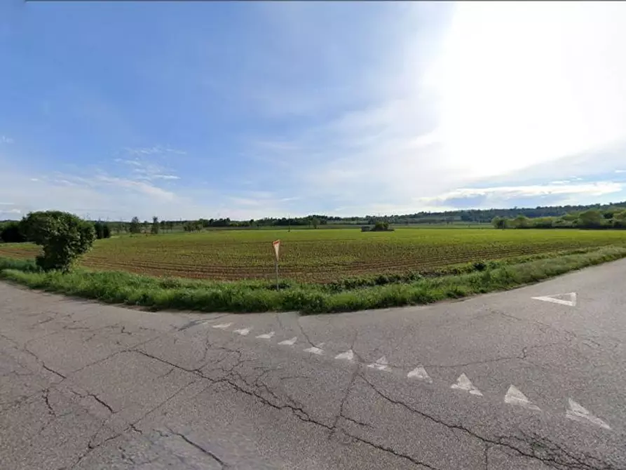 Immagine 22 di Terreno agricolo in vendita  in Cavallara a Casalmoro