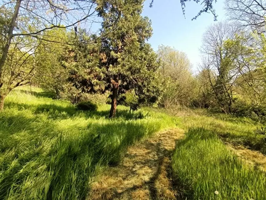 Immagine 4 di Terreno agricolo in vendita  in via valle scura a Castiglione Delle Stiviere