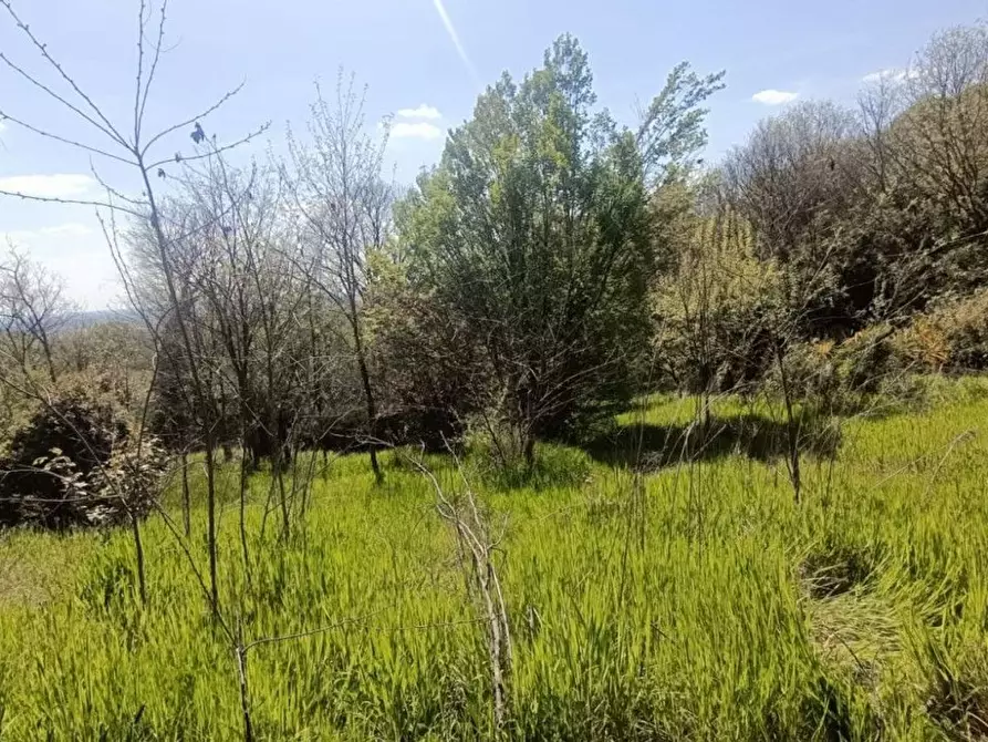 Immagine 7 di Terreno agricolo in vendita  in via valle scura a Castiglione Delle Stiviere