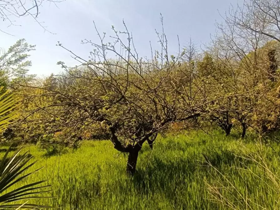 Immagine 8 di Terreno agricolo in vendita  in via valle scura a Castiglione Delle Stiviere