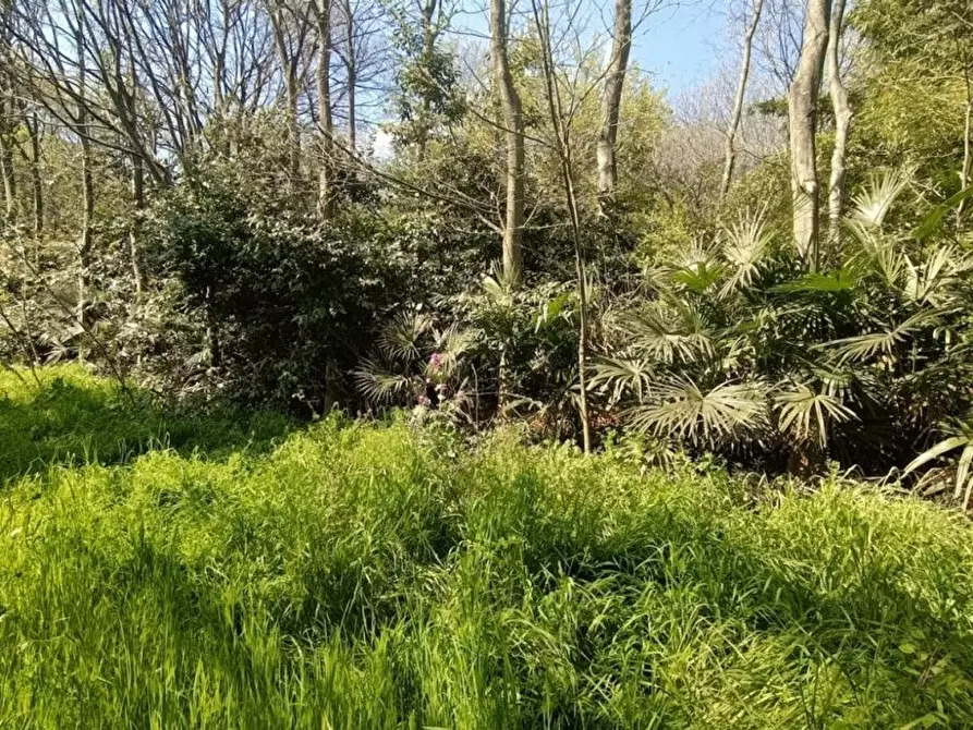 Immagine 11 di Terreno agricolo in vendita  in via valle scura a Castiglione Delle Stiviere