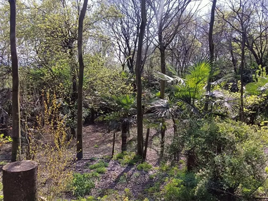 Immagine 12 di Terreno agricolo in vendita  in via valle scura a Castiglione Delle Stiviere