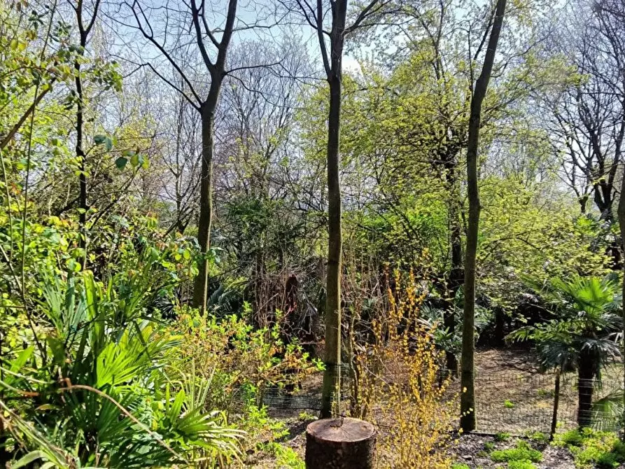 Immagine 13 di Terreno agricolo in vendita  in via valle scura a Castiglione Delle Stiviere