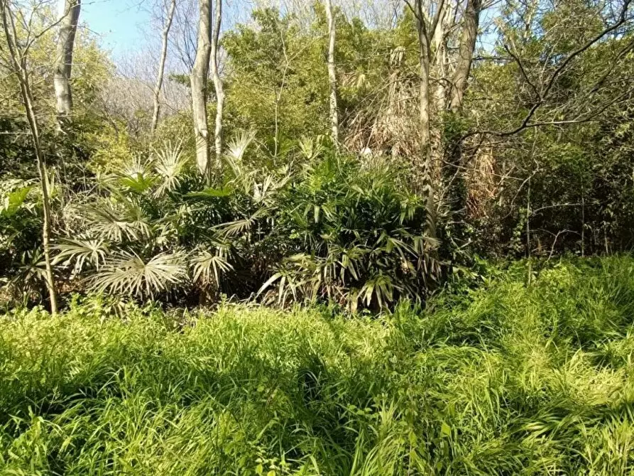 Immagine 14 di Terreno agricolo in vendita  in via valle scura a Castiglione Delle Stiviere