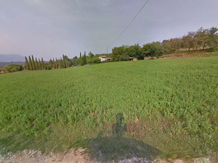 Immagine 8 di Terreno agricolo in vendita  in località Belvedere a Gavardo