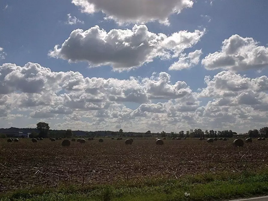 Immagine 9 di Rustico / casale in vendita  in cerrutti a Lonato del Garda