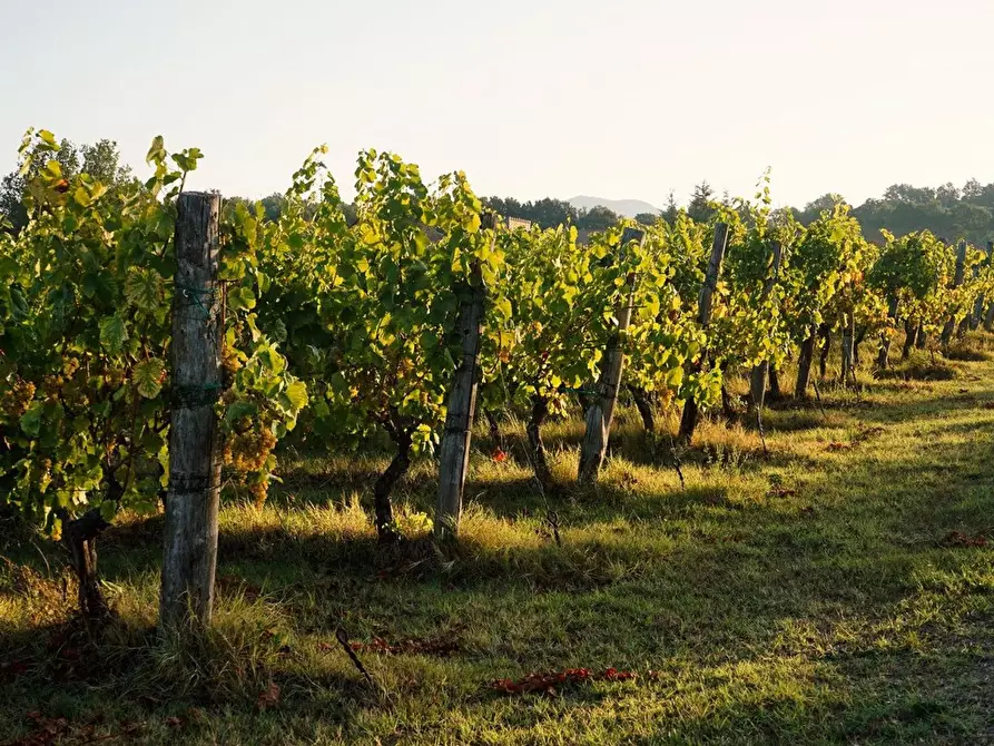 Immagine 9 di Terreno residenziale in vendita  in San Marco a Lonato del Garda