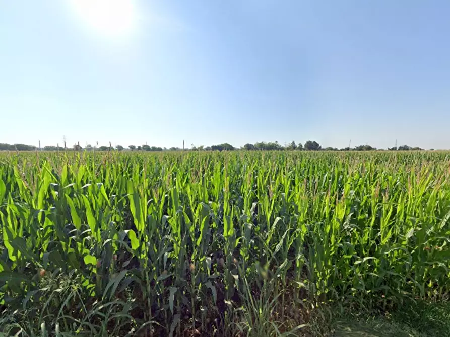 Immagine 3 di Terreno agricolo in vendita  in La Pozza a Castiglione Delle Stiviere