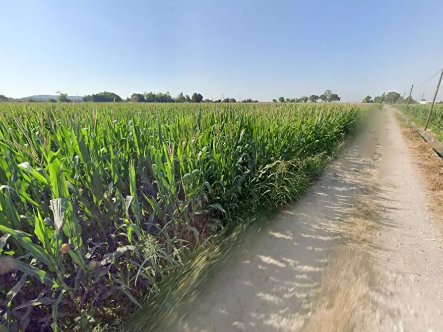 Immagine 1 di Terreno agricolo in vendita  in La Pozza a Castiglione Delle Stiviere