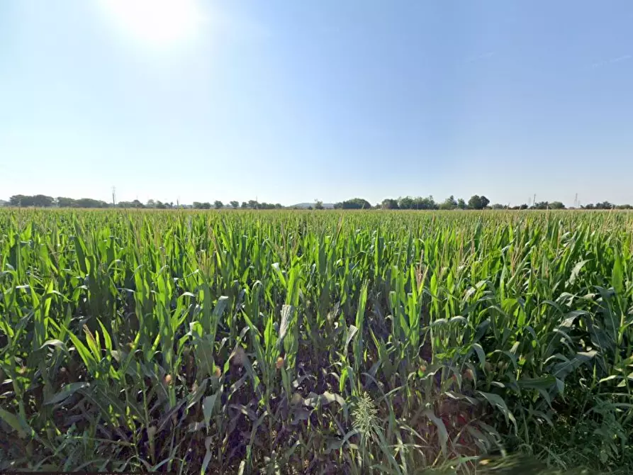 Immagine 5 di Terreno agricolo in vendita  in La Pozza a Castiglione Delle Stiviere