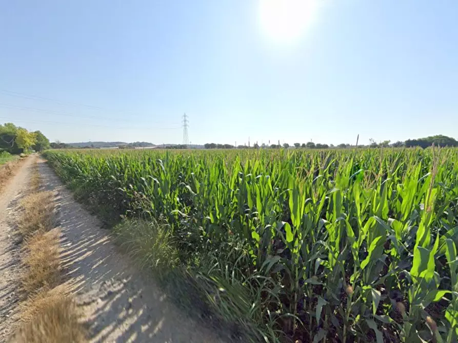 Immagine 8 di Terreno agricolo in vendita  in La Pozza a Castiglione Delle Stiviere