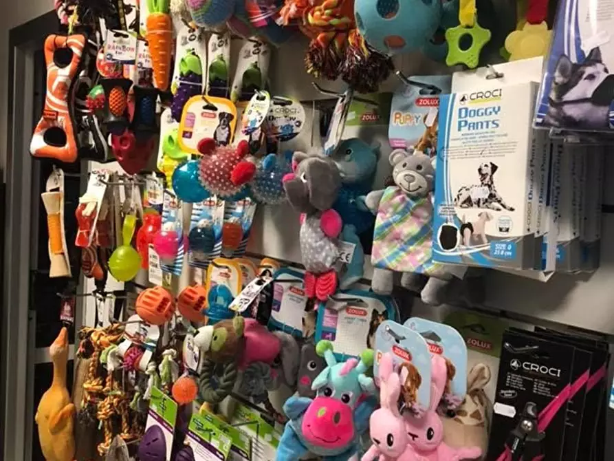 Immagine 9 di Attività commerciale in vendita  in Palestro a Calvisano