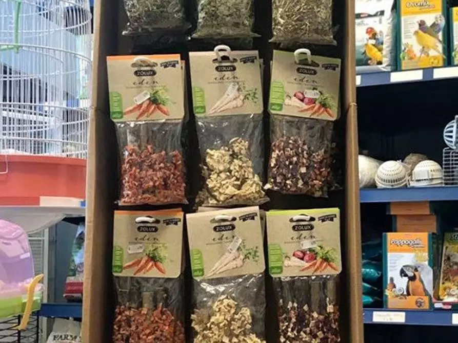 Immagine 11 di Attività commerciale in vendita  in Palestro a Calvisano