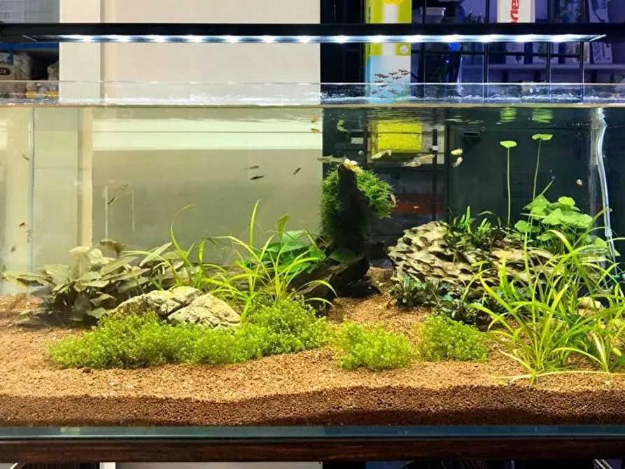 Immagine 12 di Attività commerciale in vendita  in Palestro a Calvisano