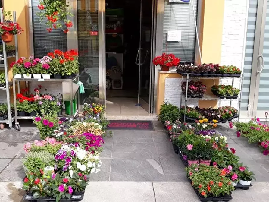 Immagine 16 di Attività commerciale in vendita  in Palestro a Calvisano