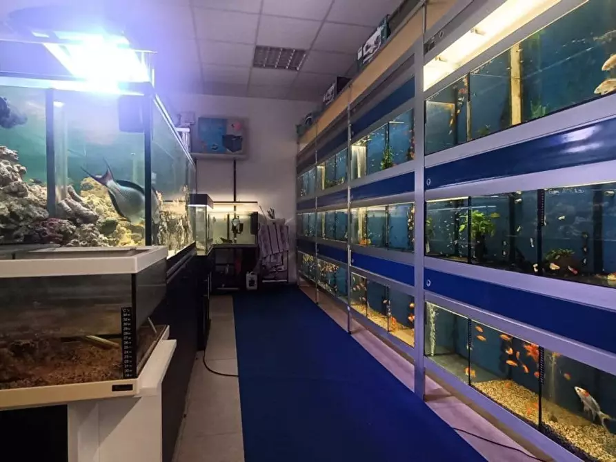 Immagine 20 di Attività commerciale in vendita  in Palestro a Calvisano