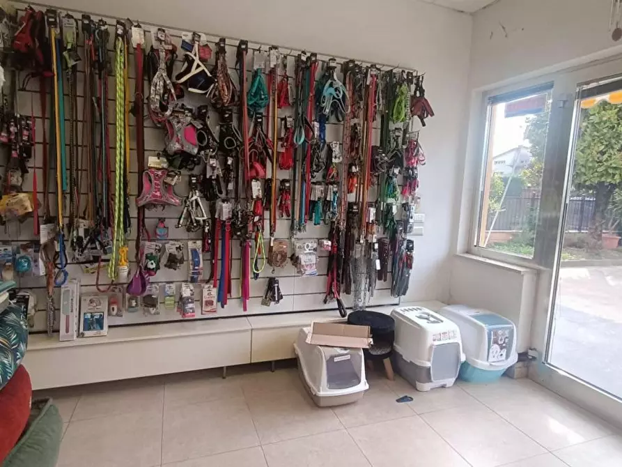 Immagine 23 di Attività commerciale in vendita  in Palestro a Calvisano