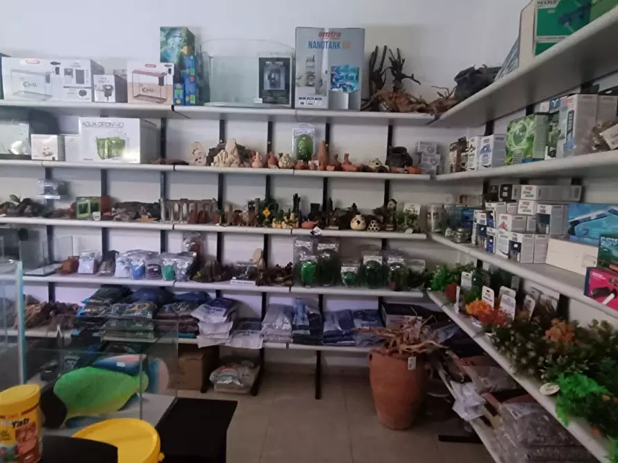 Immagine 28 di Attività commerciale in vendita  in Palestro a Calvisano