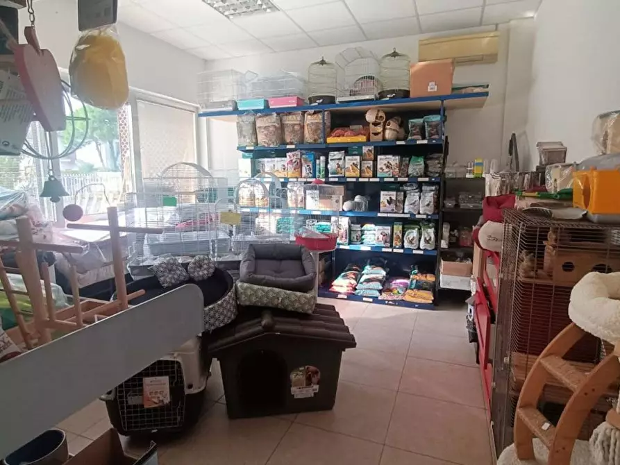 Immagine 26 di Attività commerciale in vendita  in Palestro a Calvisano