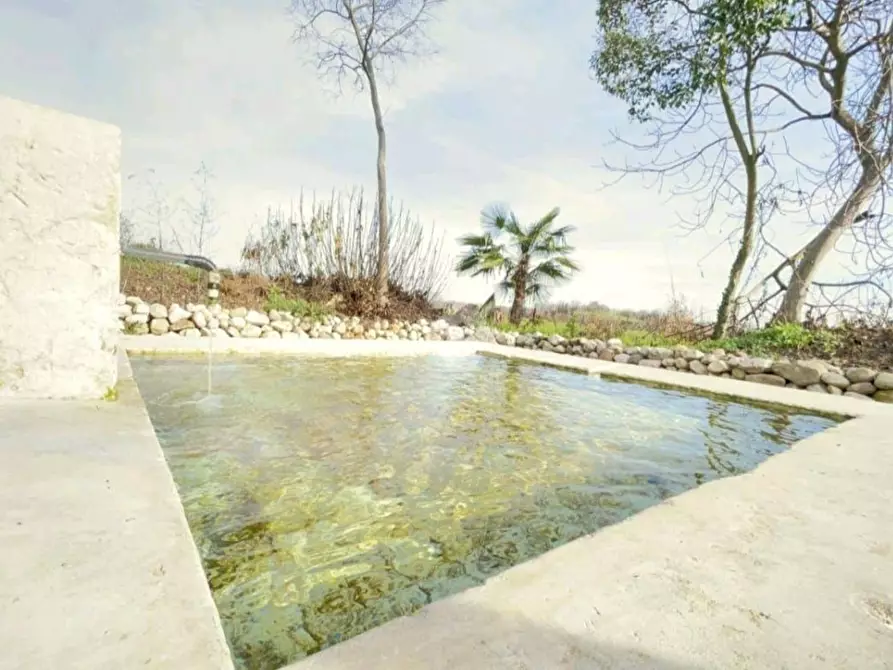 Immagine 9 di Rustico / casale in vendita  in Monte Pagano a Casalmoro