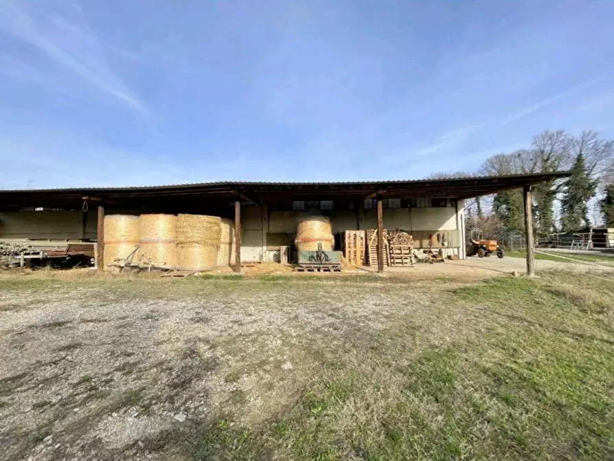 Immagine 29 di Rustico / casale in vendita  in Monte Pagano a Casalmoro