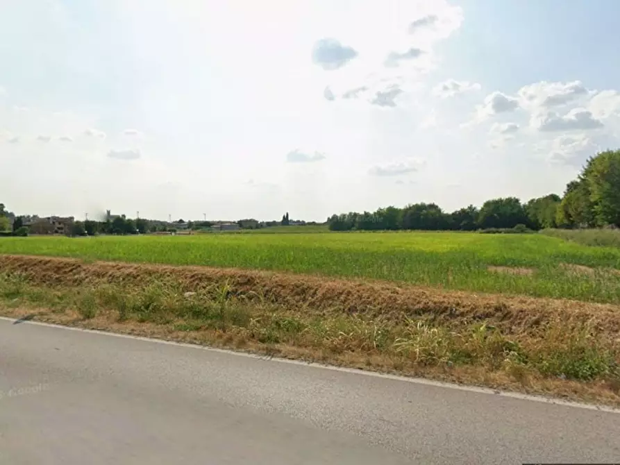 Immagine 7 di Terreno agricolo in vendita  in Provinciale 28 a Calvagese Della Riviera