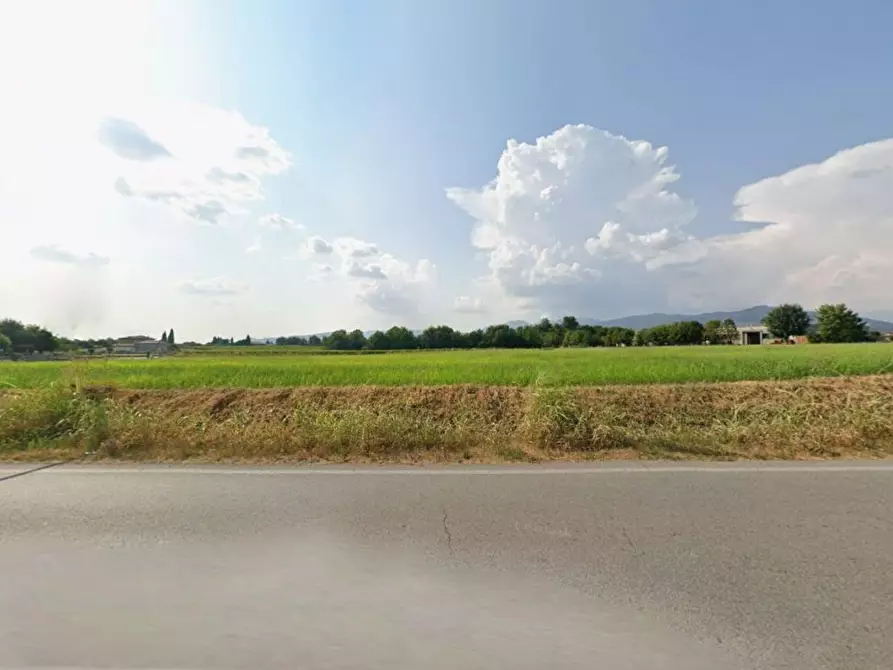 Immagine 6 di Terreno agricolo in vendita  in Provinciale 28 a Calvagese Della Riviera