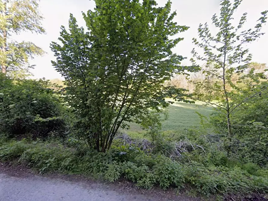 Immagine 9 di Terreno agricolo in vendita  in Provinciale 28 a Calvagese Della Riviera