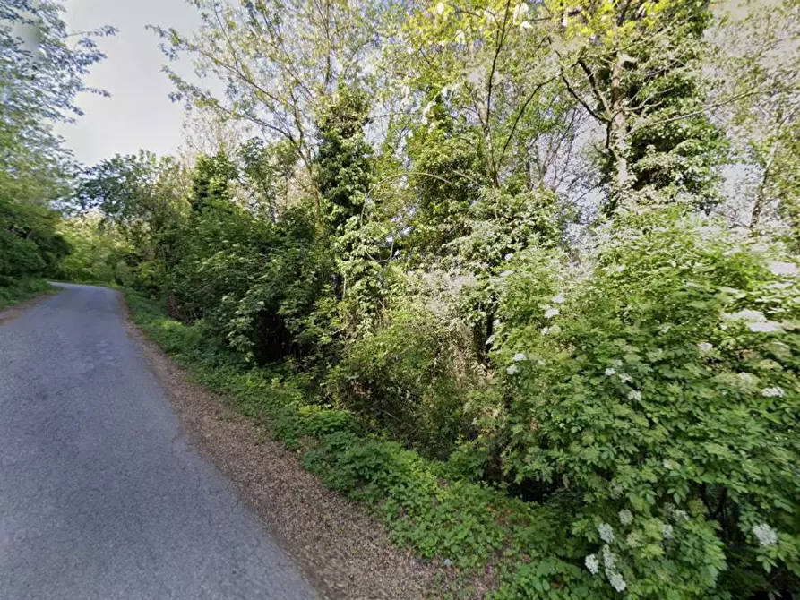 Immagine 10 di Terreno agricolo in vendita  in Provinciale 28 a Calvagese Della Riviera