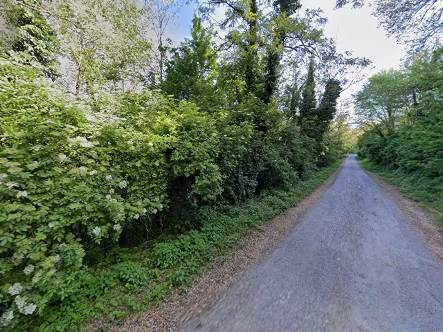 Immagine 11 di Terreno agricolo in vendita  in Provinciale 28 a Calvagese Della Riviera