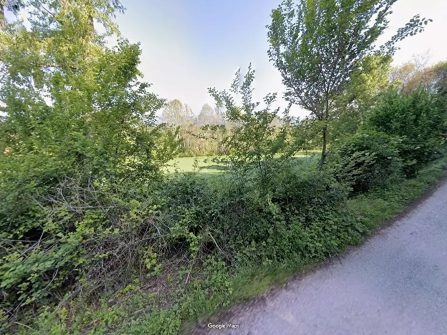 Immagine 13 di Terreno agricolo in vendita  in Provinciale 28 a Calvagese Della Riviera