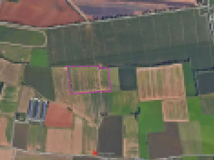 Immagine 4 di Terreno agricolo in vendita  in bertoletto a Lonato del Garda