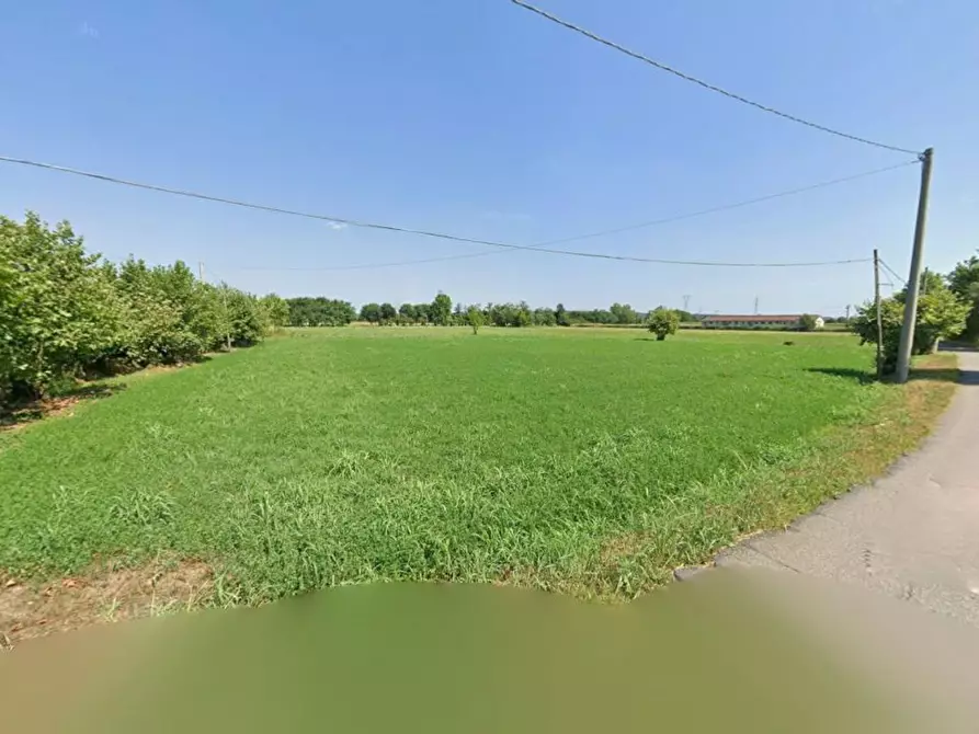 Immagine 3 di Terreno agricolo in vendita  in trivellino a Lonato del Garda