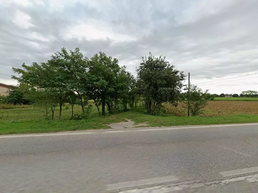 Immagine 5 di Terreno agricolo in vendita  in trivellino a Lonato del Garda