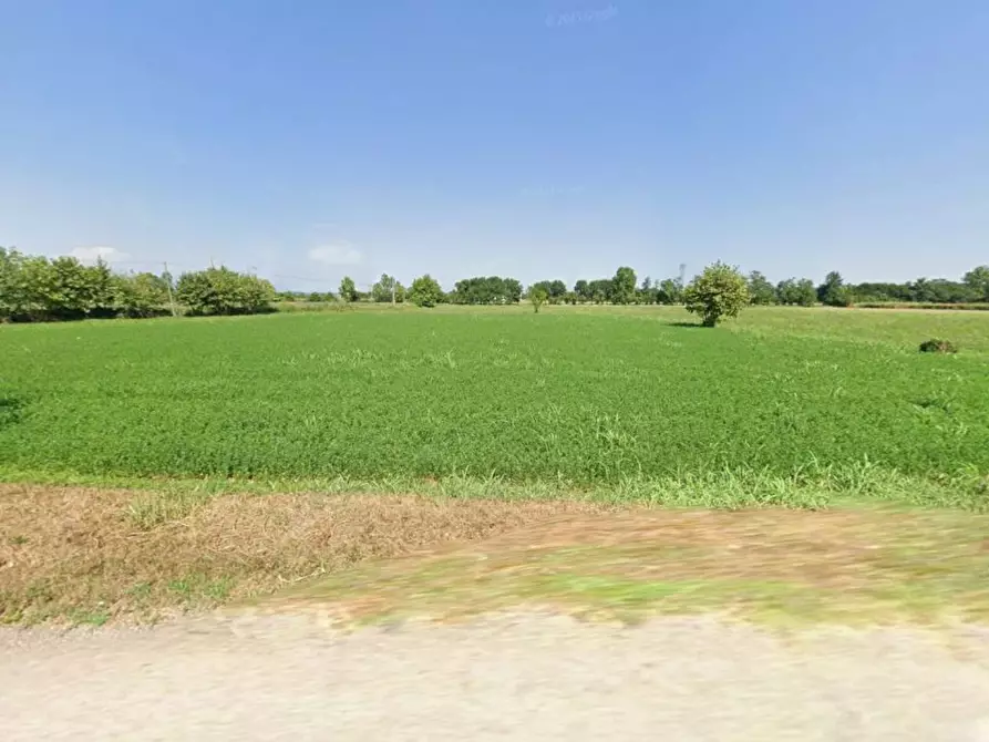Immagine 4 di Terreno agricolo in vendita  in trivellino a Lonato del Garda