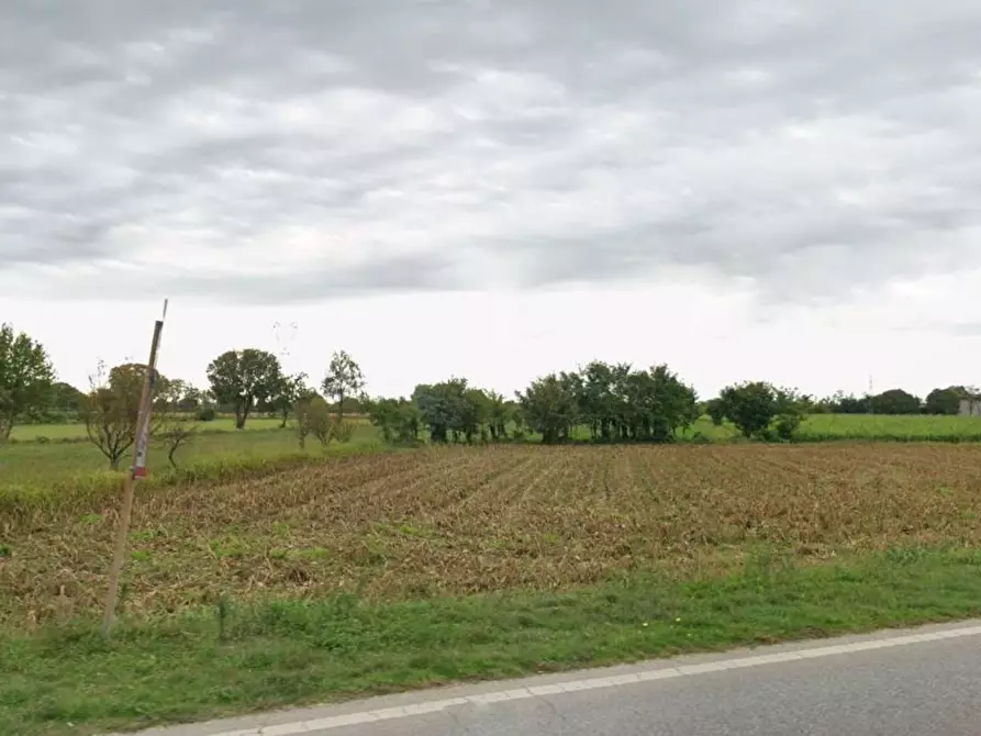 Immagine 6 di Terreno agricolo in vendita  in trivellino a Lonato del Garda