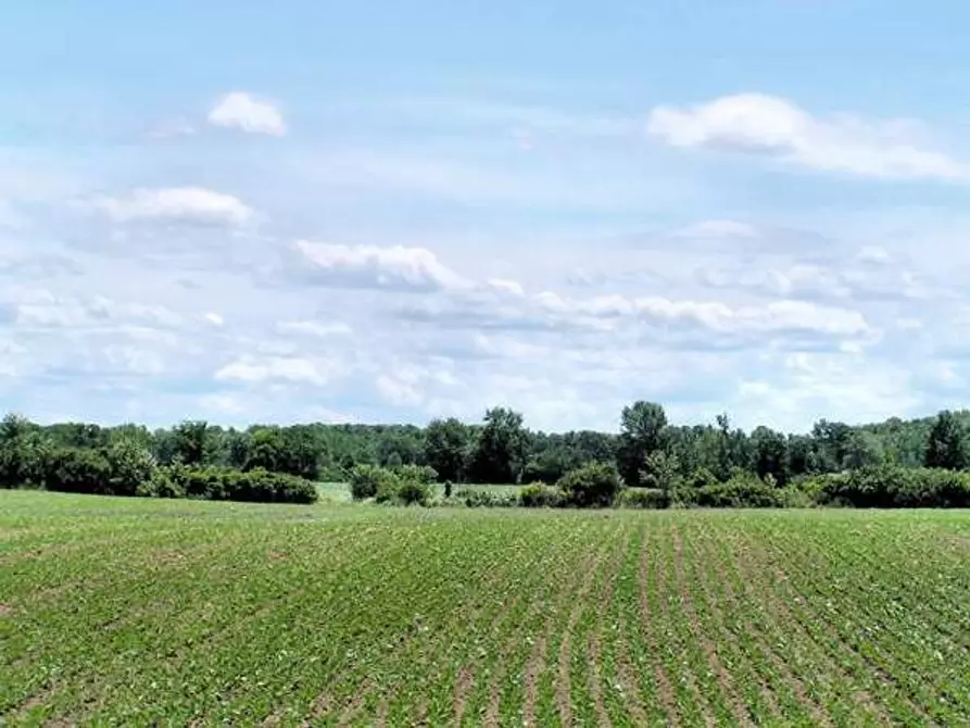 Immagine 7 di Terreno agricolo in vendita  in Colli Storici a Desenzano Del Garda