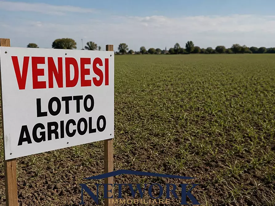 Immagine 2 di Terreno agricolo in vendita  in bertoletto a Lonato del Garda