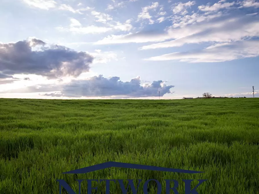 Immagine 6 di Terreno agricolo in vendita  in bertoletto a Lonato del Garda